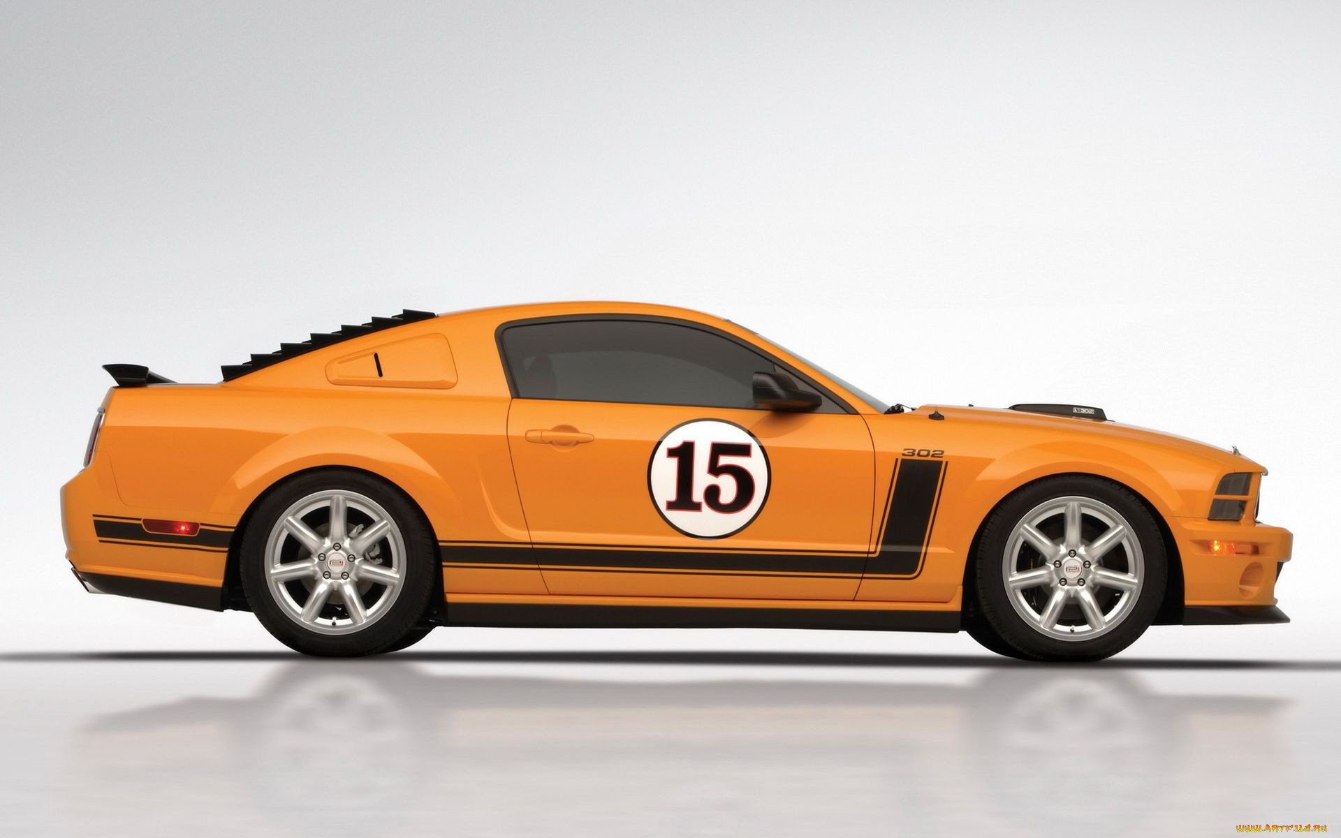 , mustang